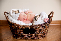 Andrew Safarik Newborn
